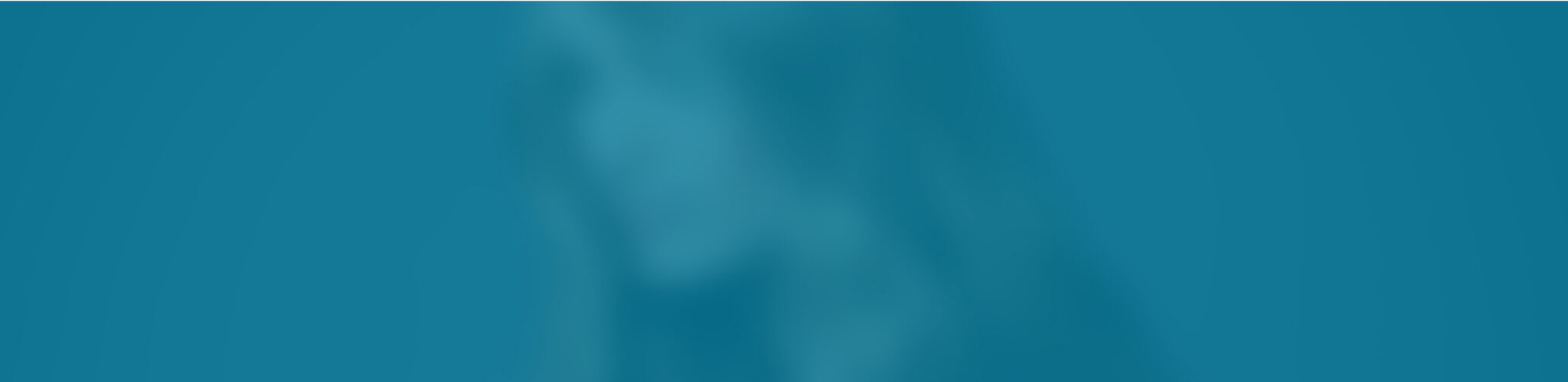 Newsletter Section